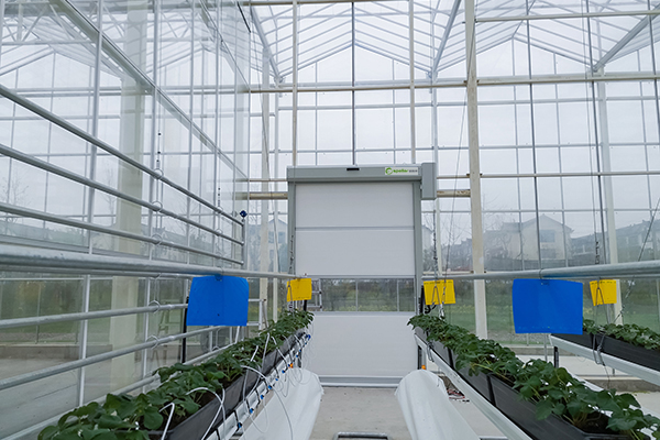 ac米兰官方网址入口官网
农业大棚快速卷帘门